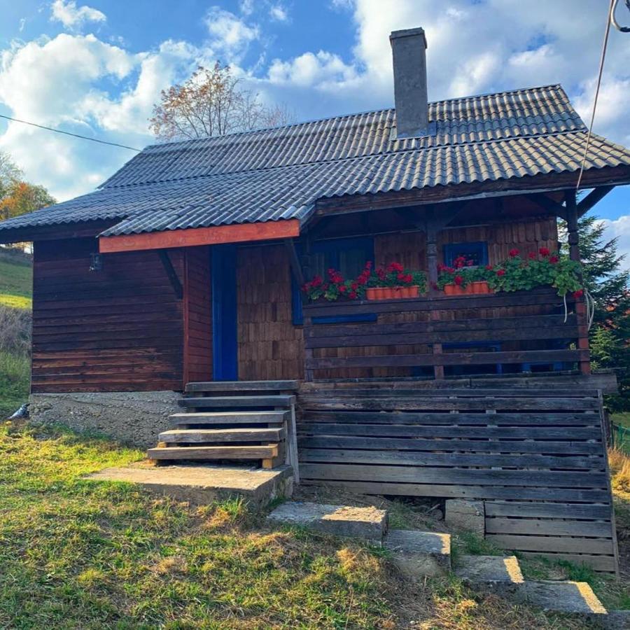 Вілла Casuta Mariei Борша Екстер'єр фото